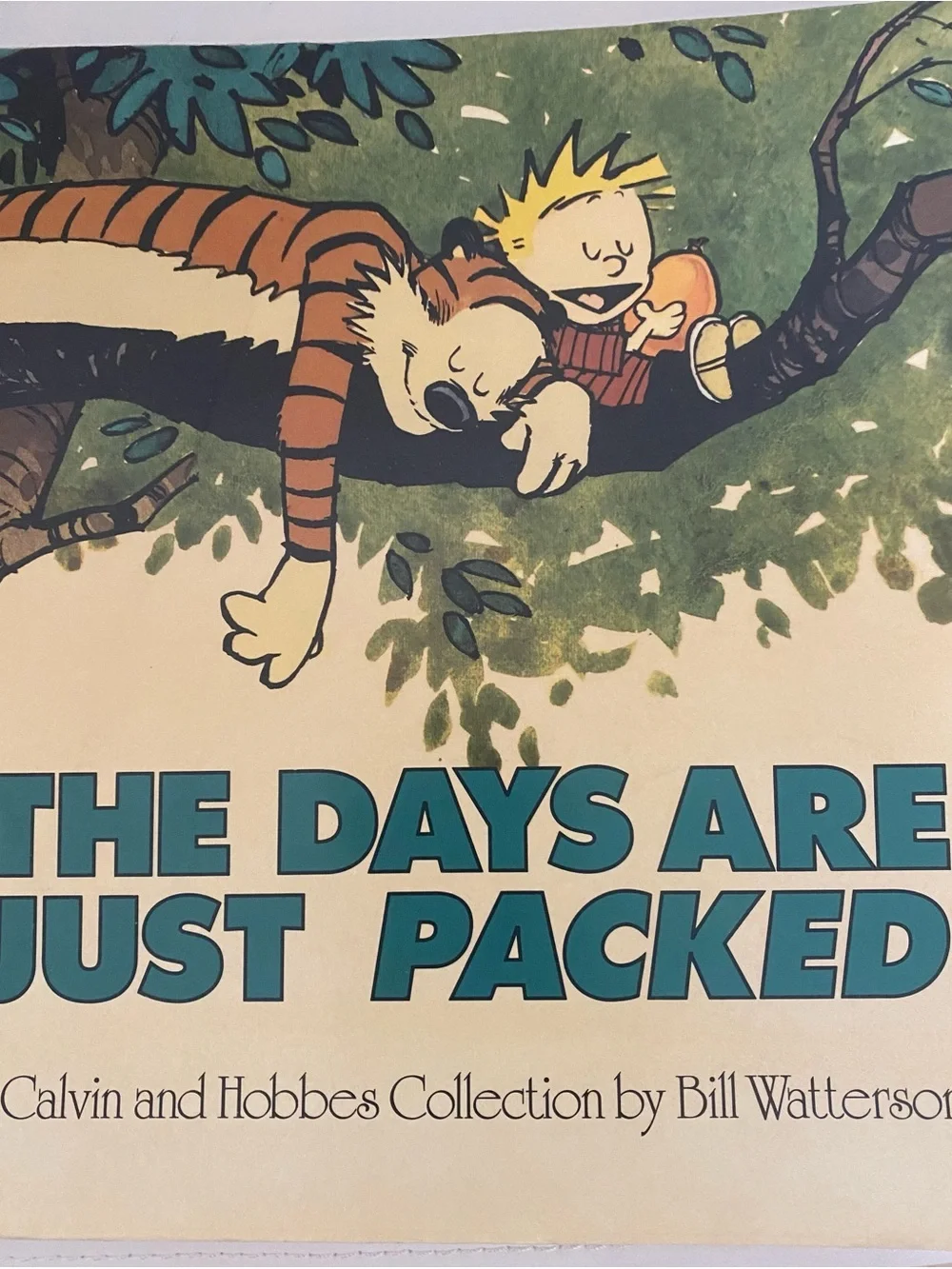 The Days Are Just Packed Calvin and Hobbes Bill Watterson Comic Collection 1993